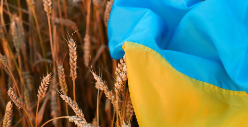 Украина пшеница алкоголь